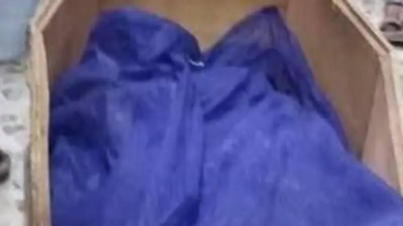 Dogs or Uncle? The Case of the Najaf Girl Sparks Outrage in Iraq