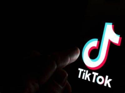 The Judge Al-Saghbini Accuses 12 Individuals in the "TikTok" Gang Case