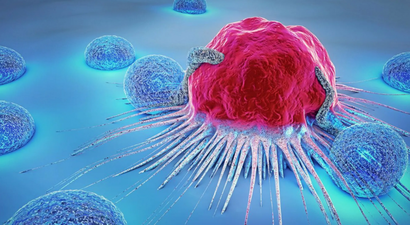 Scientists Invent Sponge to Detect Cancer Early