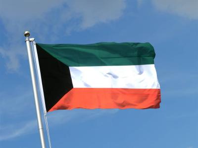 Kuwait... Appointment of a Deputy for the Emir in His Absence
