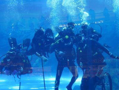 New Guinness World Record for Fastest Dive Using a Wheelchair