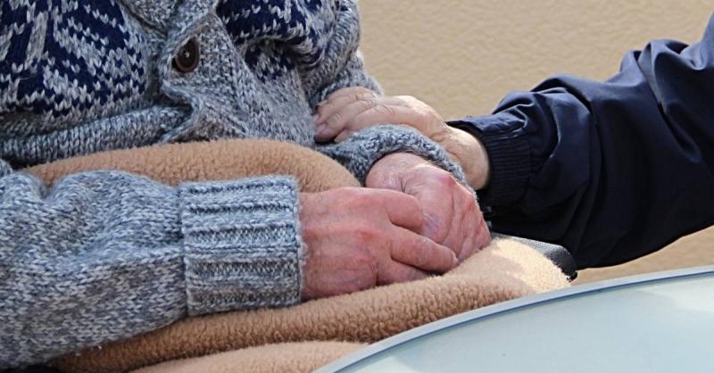 Foods with Magical Effects to Combat Dementia