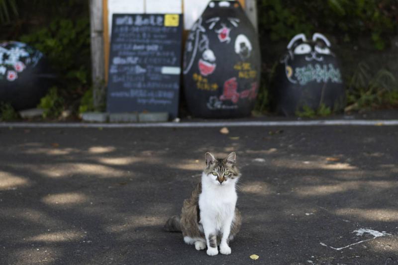 A Fantastical Number: A Shrine Honoring Cats on a Famous Japanese Island