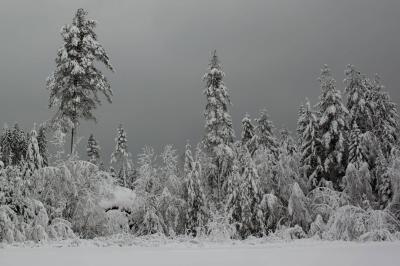 How Winter Affects Our Behaviors