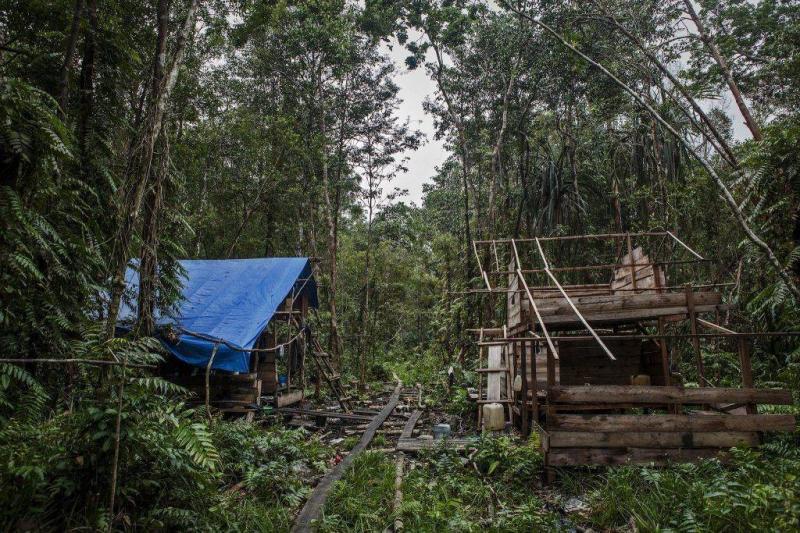 Miracle in the Amazon: Children Found Alive After Plane Crash