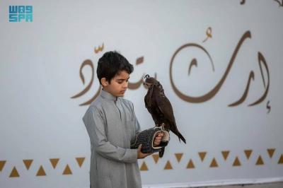 Young Falcon Trainer Stuns Visitors at Al-Kharj Falconry Competition