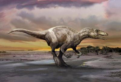 Discovery of Fossils of Flying Reptiles Related to Dinosaurs on a Beach in Scotland