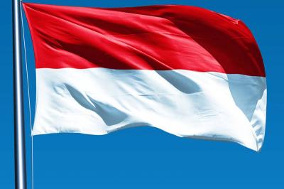 Indonesia Ready to Send Peacekeeping Forces to Gaza