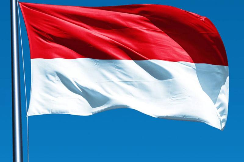 Indonesia Ready to Send Peacekeeping Forces to Gaza