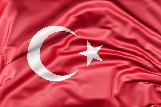 Turkey Requests Explanation from Somalia After Fatal Incident Involving President's Son