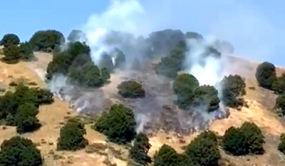 Random Gunfire Burns Al-Lazab Forest in Northern Lebanon