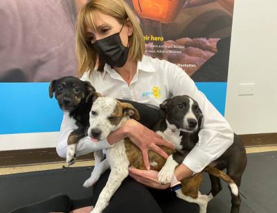 Pets Can Transmit Serious Diseases to Humans