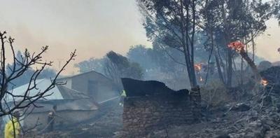 Firefighter and Forest Official Charged with Starting Fires in Chile