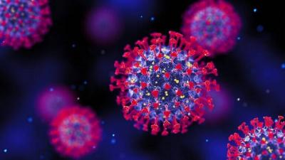 "WHO": The New Coronavirus Continues to Mutate
