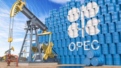 OPEC: Speculators Played a Key Role in Decline of Futures Prices