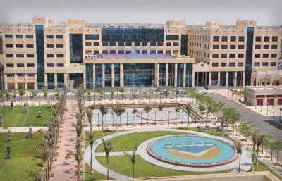 Egypt Considers Changing Its University Education System