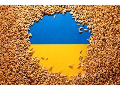 UN Seeks Assurances for Russia to Resume Grain Deal