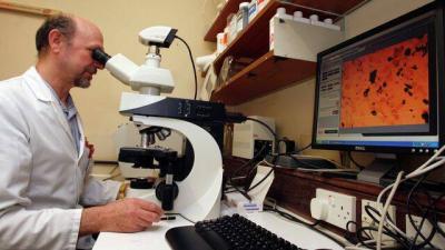 Russian Specialists Develop a Biomaterial for Complete Bone Restoration