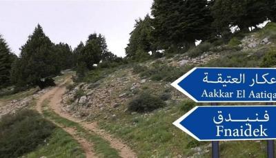 Minister of Agriculture Pledged to Hold Accountable Those Who Attack Qammoua Forests