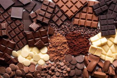 Title: Seizure of Chocolate Manufacturing Facilities