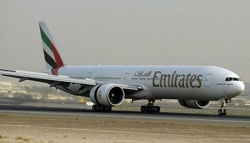 Emirates Plane Safely Lands After Collision with Flamingos in Mumbai