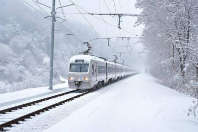 Train Collision in Beijing Due to Heavy Snowfall... 515 Injured