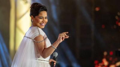Support for the Fine Against Sherine and Rejection of Mohamed Shaar's Civil Lawsuit