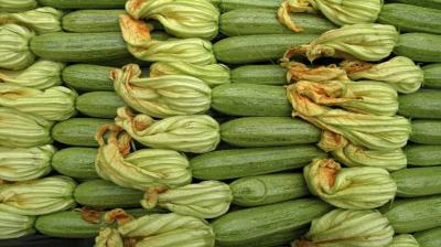 Title: Five Health Benefits of Zucchini