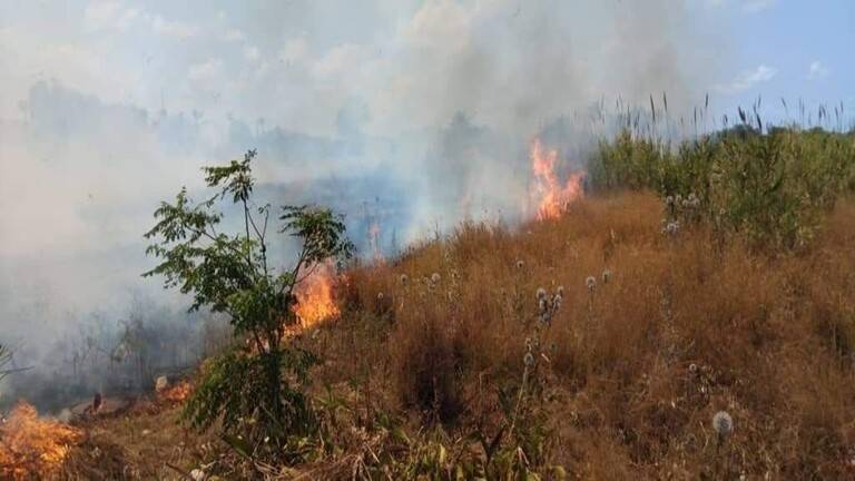 Fires Devour Extensive Agricultural Lands in Syria