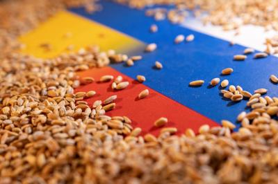 UN and African Bank Work to Facilitate Russian Exports