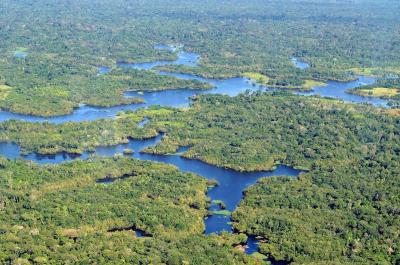 Brazil and Japan Agree to Protect the Amazon Rainforest