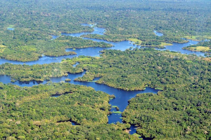 Brazil and Japan Agree to Protect the Amazon Rainforest