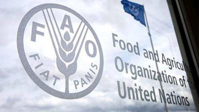 FAO: Global Food Price Index Rises for the Third Month in May