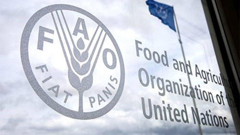 FAO: Global Food Price Index Rises for the Third Month in May