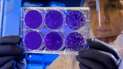 The "Corona" Family Grows Larger: Meet "Khosta 2," the Vaccine-Resistant Virus
