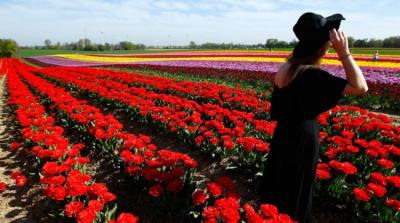 Scents That May Help Depression Sufferers Overcome Negativity