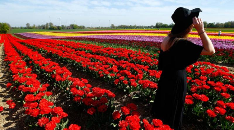 Scents That May Help Depression Sufferers Overcome Negativity