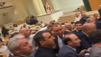 Chaos Under the Dome of the Georgian Parliament: Fighting and Screaming!