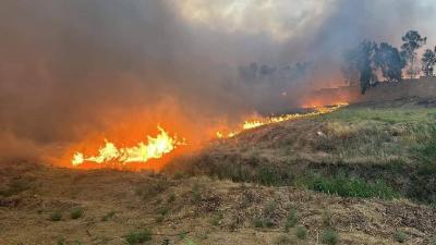 Title: Major Fire Breaks Out at Mosul University