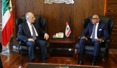 Title: Defense Minister Discusses Updates with Egyptian Ambassador