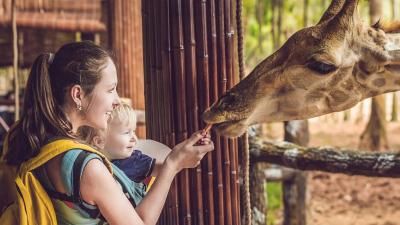 "Terrifying Video": Giraffe Snatches Girl from Mother's Hand!