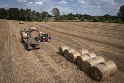 Ukrainian Agriculture: Winter Crops in Good Condition