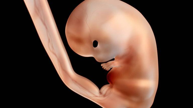 Japanese Breakthrough... Growing Children in the Laboratory May Become Reality