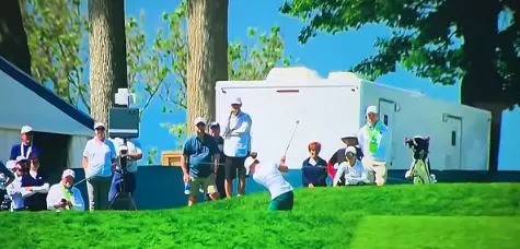 Golf Player Hits Bird with Her Ball (Video)