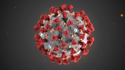 The "Extinct Virus": One Strain of Influenza Completely Disappears