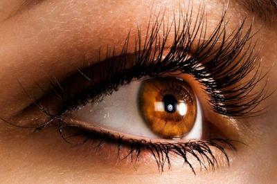 Do Eyelash Lengths Affect Women's Attractiveness?