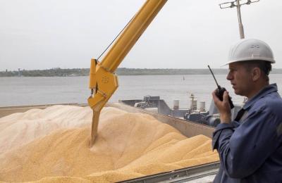 Resumption of Ukrainian Grain Exports via Poland