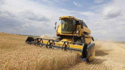 Wheat Rises to Highest Level in 5 Months