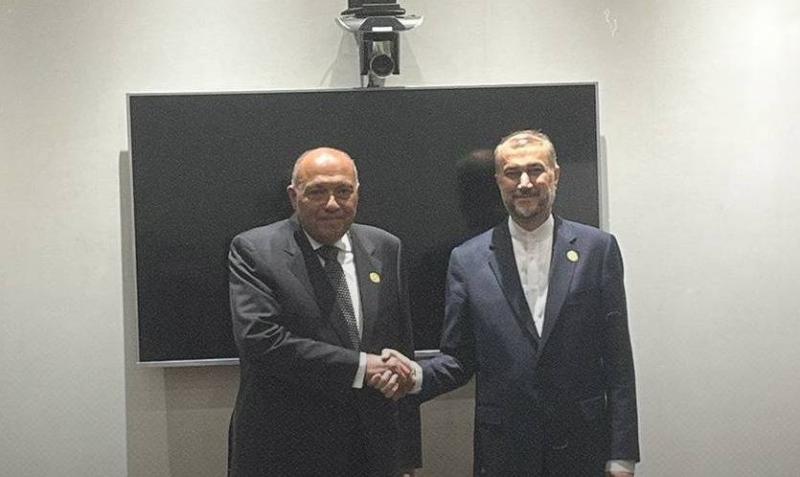 Shukri and Abdullahiyan Discuss Situation in Gaza