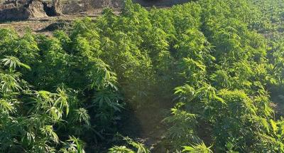Raiding the "Drug Island" in the Heart of the Nile (Photos)